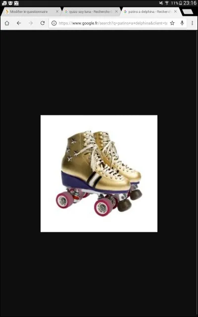 À qui appartiennent ces patins ?