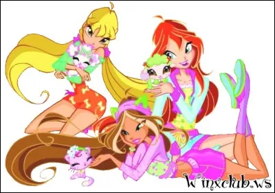 Comment s'appelle le magasin des Winx sur Terre ?