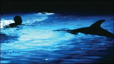 Qui a réalisé le film "Le Grand Bleu" ?