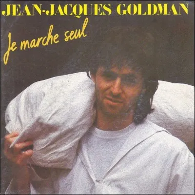 Je marche seul, dans les rues qui se donnent,...(complétez) :