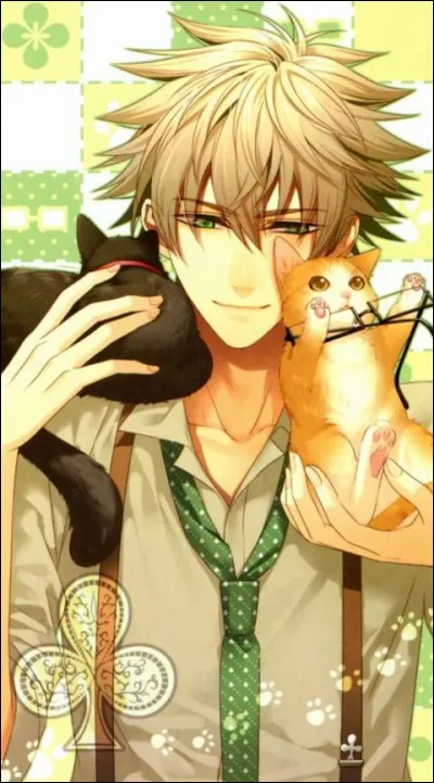 Quel est le nom de ce harem inversé ?