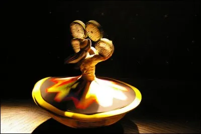 Qu'est-ce qu'un "derviche" ?