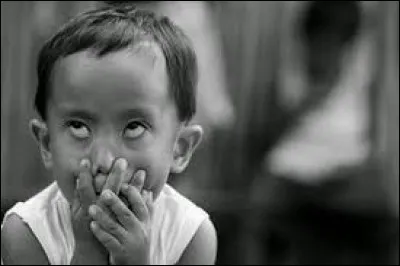 Qu'est-ce que le "ginseng" ?