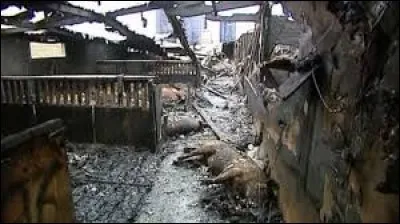 C'est une « porcherie » ici !