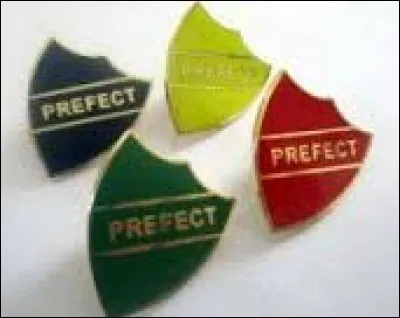 Tu a été nommé(e) préfet(préfète). Quelle est ta réaction ?