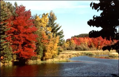 Mois qui réunit le signe de la vierge et celui de la balance :