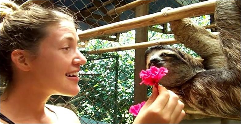 a quel animal vous identifiez vous