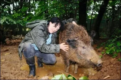 Identifiez l'animal de la photo !