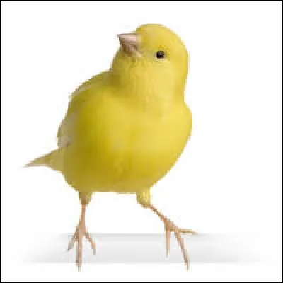 Retrouvez la phrase qui lui correspond le mieux :