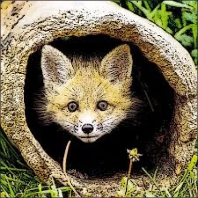 Qui a recueilli ce jeune orphelin ?