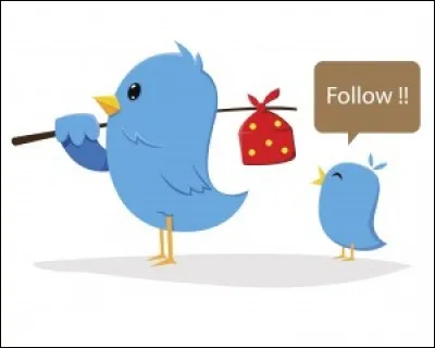 Le mot "follower" se traduit en français par :