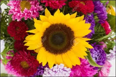 En musique, rythme avec lequel le rappeur débite les paroles :