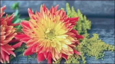 Colline escarpée, en Provence :