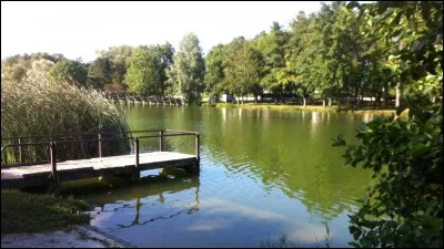 Joué-les-Tours est la ville de naissance d'Amel Bent et des frères Dalmat, footballeurs. Ils sont donc ...