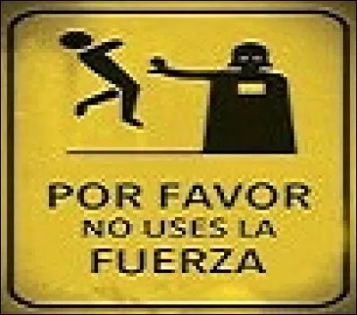 On s'adresse à une personne que l'on vouvoie.
Puis-je vous demander une faveur (un favor) ?