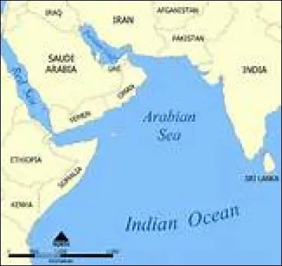 L'Arabie Saoudite est bordée par la mer d'Arabie.