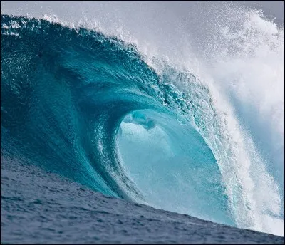 Le père adoptif de Yugo est-il aussi un Éliatrope ?