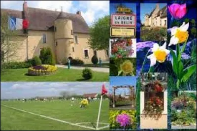 Ville des Pays-de-la-Loire, dans l'arrondissement du Mans, Laigné-en-Belin se situe dans le département ...