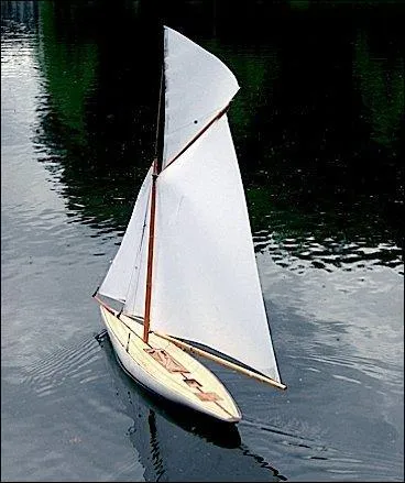 Quelle forme a un aurique?