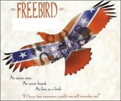 "F" comme "Free Bird". Parmi ces groupes de blues/country rock américains, lequel est l'auteur de cette fameuse ballade, sortie en 1973 ?