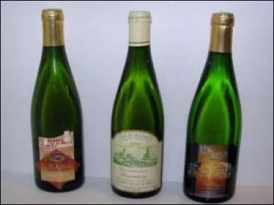 Qu'avez-vous choisi de boire comme vin pour accompagner à merveille votre morceau de munster ?