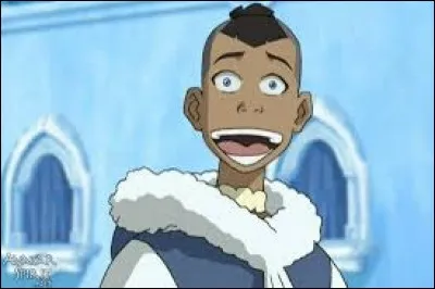 Quel âge a Sokka ?