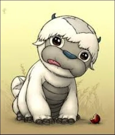 Appa vient du temple de l'air...