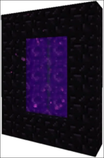 Que voit-on sur la photo ?