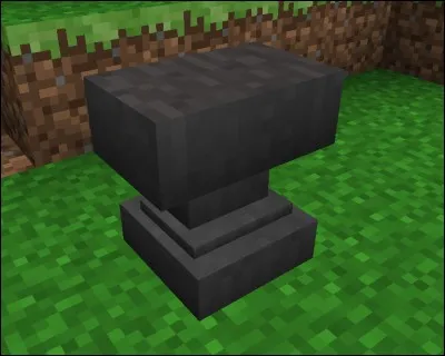 Que voit-on sur la photo ?