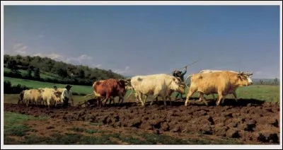 "Labourage nivernais - Le sombrage" (1849) par Rosa Bonheur. Que peut-on dire de cette artiste ?