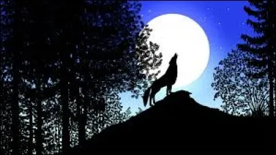 Quelle chanteuse canadienne interprète "Encore une nuit" en 2005 ?