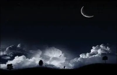 À quel chanteur doit-on "La nuit je mens" sorti en 1998 ?