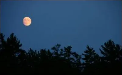 Quel rappeur chante "La nuit porte conseil" en 2016 ?