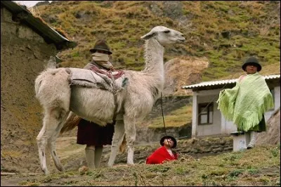 Si vous ne trouviez pas, j'en serais malade !