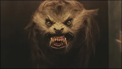 Avez-vous la bosse de ma musique ? Oui ? Alors trouvez l'interprète !