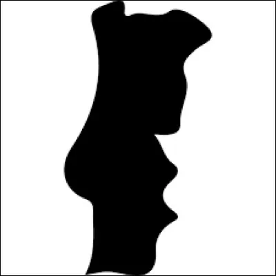 De quel pays s'agit-il ?