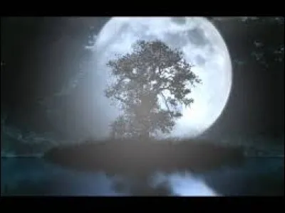 Comment est la nuit pour Catherine Lara ?