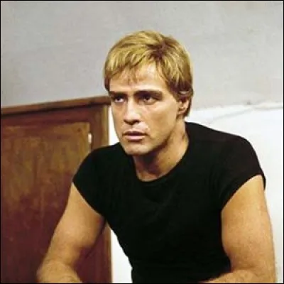 Dans ce film américain de 1968 réalisé par Hubert Cornfield et Richard Boone qui se déroule en France, le rôle principal est tenu par Marlon Brando. Quel est le titre de ce film ?