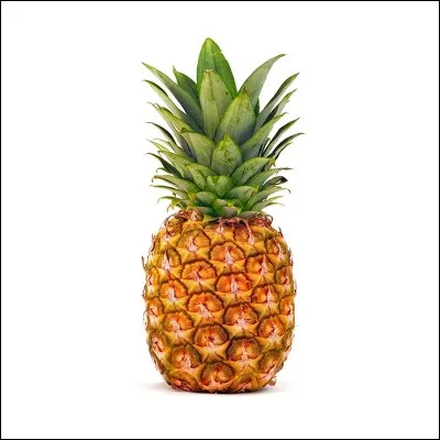 Comment dit-on le mot "ananas" en espagnol ?
