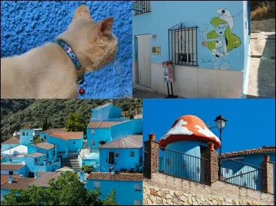 Maintenant, allons en Espagne pour visiter le village de « Jùzcar ». Ses habitants ont décidé de conserver une caractéristique cinématographique. Cela ferait venir les touristes !
Connaissez-vous la raison de cette initiative ?