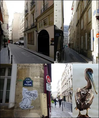 Allons à Paris (1er arrondissement) et, plus particulièrement, dans le quartier du Palais-Royal. Connaissez-vous la rue du Pélican ? 
Dans ce cas, pouvez-vous indiquer l'origine de ce nom ?
