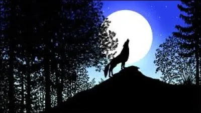 Dans la nouvelle de Daudet, quel animal a été dévoré au lever du jour après un combat toute la nuit, pour avoir voulu croquer l'herbe plus verte de la montagne ?