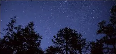 Durant quelle nuit les enfants sortent-ils demander des bonbons ?