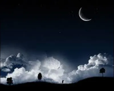 En quelle langue traduit-on "la nuit" par "die Nacht" ?