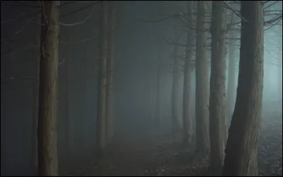 La chanson "Nuit et Brouillard" parle des sans-abris.