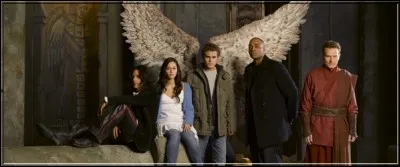 Dans la série « Fallen », Aaron Corbett découvre qu'il est un Néphilim, c'est-à-dire :