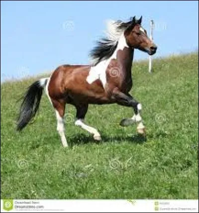 Quelle appellation n'est pas celle d'une liste ?