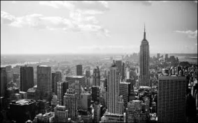 Qui a chanté "Englishman in New York" dans les années 80 ?