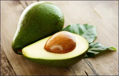 Quel était son métier avant la politique ?