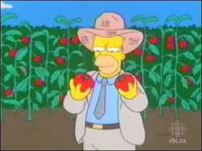 Quel est le nom du fuit étrange qu'a fait pousser Homer ?